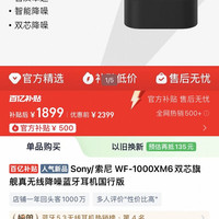 Sony/索尼 WF-1000XM6双芯旗舰真无线降噪蓝牙耳机国行版