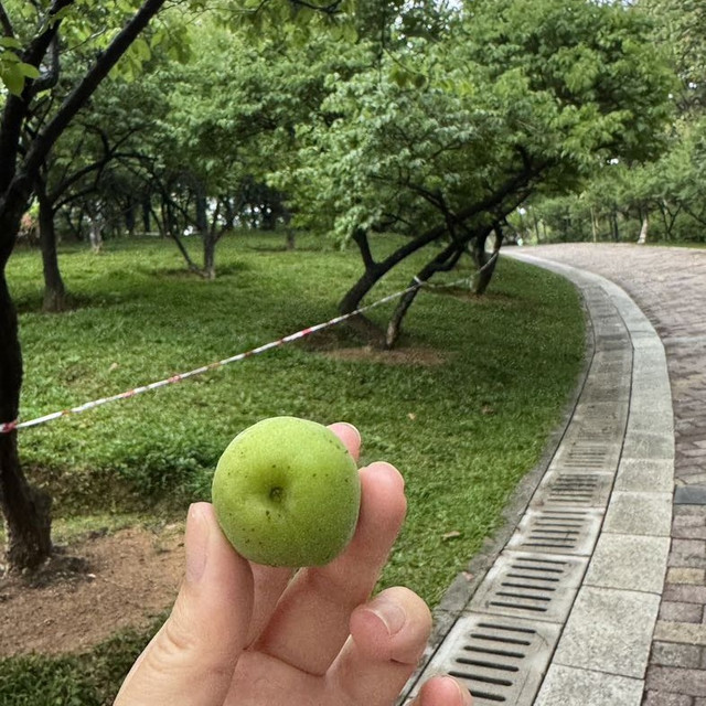 会员领京豆，50豆。pm2，4.4