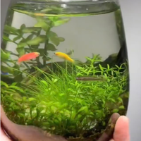 青苹果 极限1小时加厚高硼硅圆杯400ML/2只