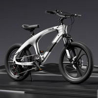 移动端、京东百亿补贴：PHOENIX 问界变速一体轮+ 灰色+ 镁合金车架 22寸(适合身高145-165cm)