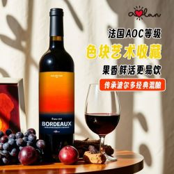 奥兰 艺术家法国波尔多干红葡萄酒 原瓶进口 AOC赤霞珠混酿