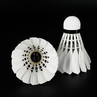 百亿补贴：华美 A3羽毛球训练比赛耐打稳定羽毛球