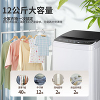 澳柯玛 12公斤全自动波轮洗衣机大容量AQ120H01