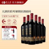 類人首 宁夏贺兰山 美乐干红葡萄酒 大酒窖608干红整箱