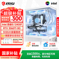 微星 高端独显 台式组装电脑主机  Core i5-12400F RTX 3060Ti