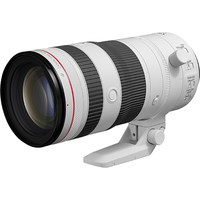  Canon/佳能 恒定F2.8大光圈 远摄变焦镜头