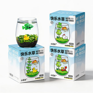 小花农 小清新种植 水培小对叶+小鱼+小黄鸭