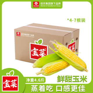 移动端、京东百亿补贴：佳农 宝菜山东新鲜水果玉米现摘鲜甜多汁5-6根净重4.5斤源头直发