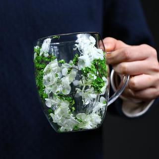  享藏 高硼硅隔热 双层玻璃杯