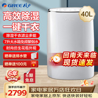 格力 除湿机 家用办公地下室复式别墅商用工业大功率抽湿机