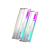  DESEROYER/毁灭者 低时序探索超频 电竞内存条