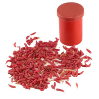 移动端：无品牌 红蛆虫 昆虫饵 541654 150条送镊子