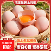 新鲜鸡蛋 五谷喂养土鸡蛋 1200g 30枚