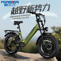 FOREVER/永久 长续航 电助力自行车 蓝牙音响 大灯