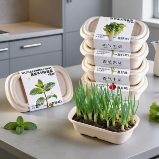 小花农 儿童蔬菜花果种植实验套装玩具 厨房香草