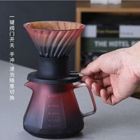 ZIVA 浸泡过滤 聪明杯手冲咖啡过滤杯套装+玻璃咖啡分享壶
