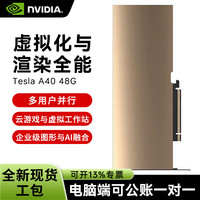英伟达 Tesla A40 48G GDDR6 数据中心显卡