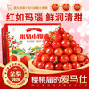 甜盟 四川米易攀枝花水晶小樱桃 2斤