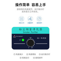  FEWE/飞稳 移动式 焊锡烟雾净化器+竹节管+黑胶圆罩