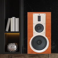 AVANCE 发烧级电子管功放 HiFi音响套装+无源书架箱+CD机+蓝牙