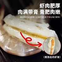 朵芙 鲜活速冻 海捕明虾