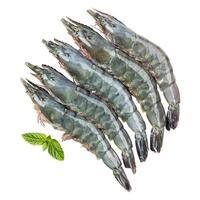 东方甄选 泰国 白对虾