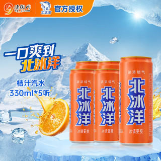  北冰洋 怀旧经典 桔汁饮料 桔汁330ml*5