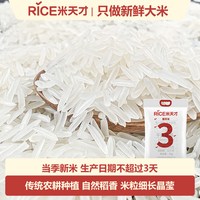 米天才 新米炒饭 猫牙米