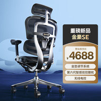  Ergonor/保友办公家具 顶奢 人体工学椅