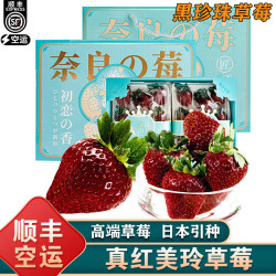 南步 淡雪奶油白草莓 真红美玲 500g 巨无霸果