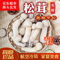 高原云品 香格里拉冻鲜松茸 10-14cm 1000g