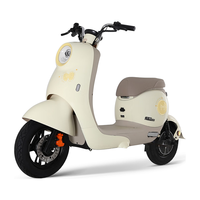  LUYUAN/绿源 可上牌 电动自行车