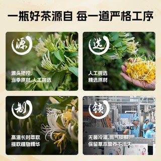  轻上青颜 草本植物 金银花茶饮料