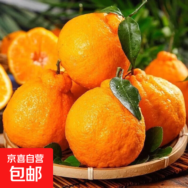 正宗四川眉山春见耙耙柑应当季新鲜水果丑橘子整箱 带箱5斤