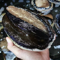 海鲜颂 黑金鲍鱼礼盒装 4-4.5斤