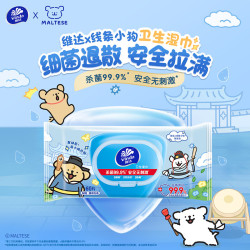 维达 杀菌率99.9% 杀菌湿巾 60片*4包