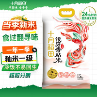 十月稻田 银牙香粘米 油粘米 10斤