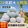 乡公馆 农村散养绿壳青皮鸭蛋 70克/枚 30枚整箱