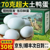 乡公馆 国产绿壳青皮鸭蛋 70g/枚 30枚整箱