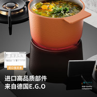  Neifo/内芙 三眼灶纯铜炉头 燃气灶电磁炉电陶炉三合一 【2气1电陶炉】部件 921B