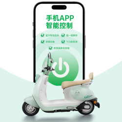 五星钻豹 电动车72V20AH大功率智能电动摩托车两轮电瓶车G9 薄雾灰/钢琴黑