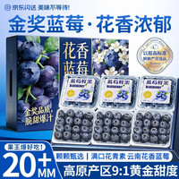 少羽 云南蓝莓花香蓝莓超大蓝莓新鲜水果年货送礼礼盒