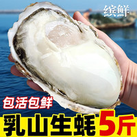 缤鲜 特大乳山生蚝净重5斤 4XL