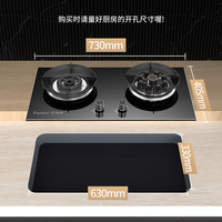  Royalstar/荣事达 猛火定时 燃气灶