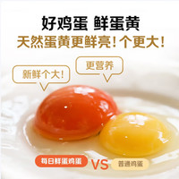 Mr.Seafood/京鲜生 源头直发 无抗谷物鲜鸡蛋