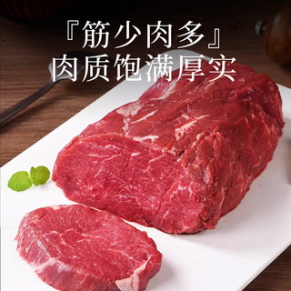  西鲜汇 牛肉  牛里脊3斤【白牦牛】