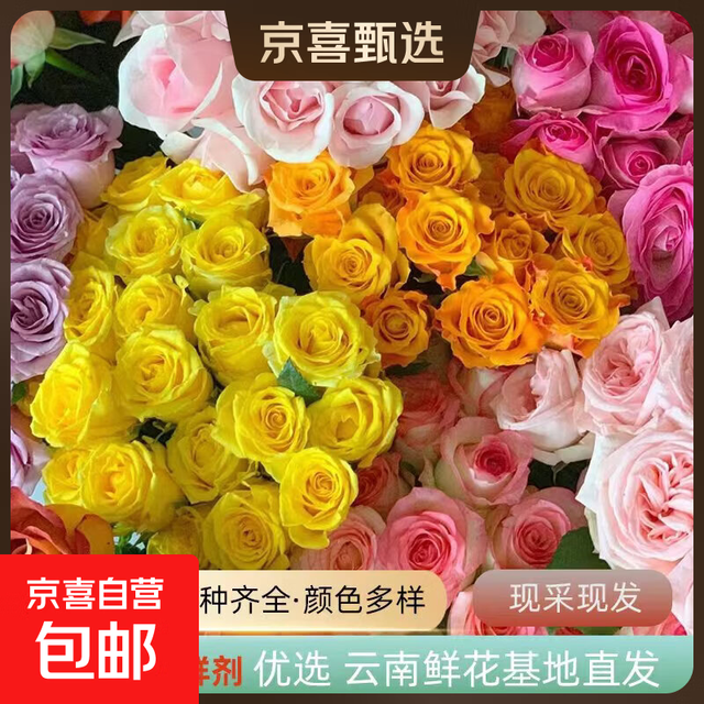 云南鲜花基地直发玫瑰花 方德35-40cm随机玫瑰10支