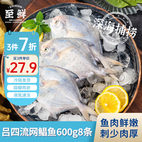 至鲜 流网银鲳鱼整条600g8条吕四黄海海鲜水产冷冻无包冰生鲜