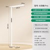 大满贯 全光谱护眼 落地护眼灯 【长颈鹿Pro】普瑞芯片 5A级护眼 RG0级蓝光