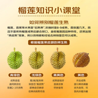  京地达 源头直发 泰国金枕头榴莲  4-4.5斤|包4-5房|1-2个 2kg